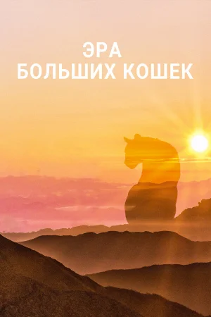Эра больших кошек 1 сезон онлайн